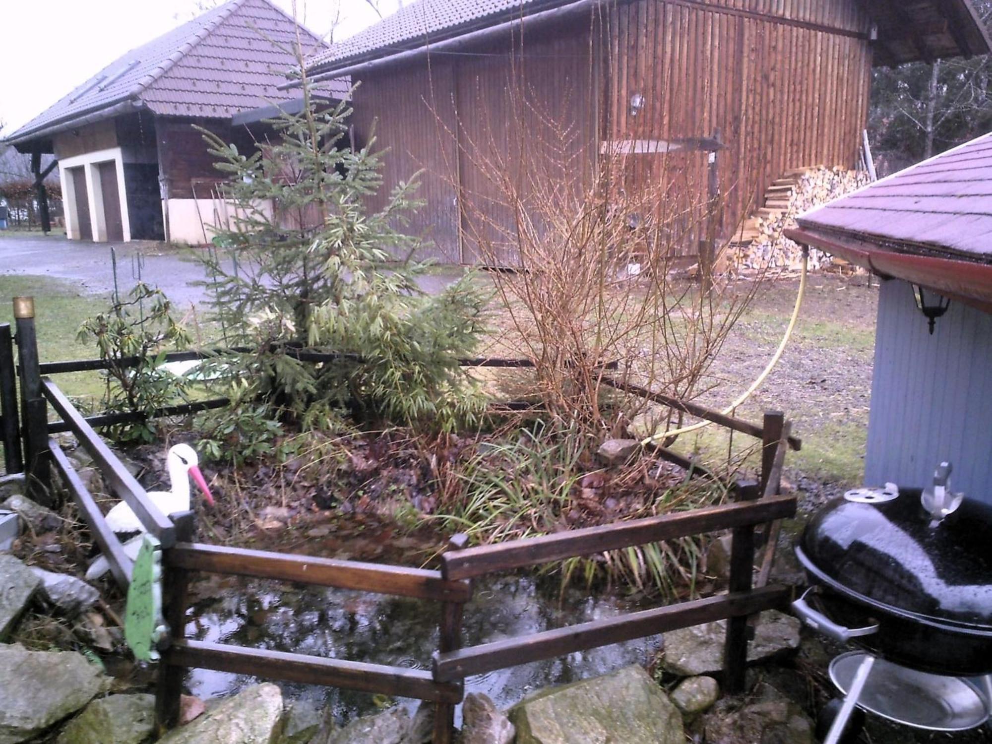 Beautiful Apartment In A Black Forest House With Conservatory Bernau im Schwarzwald Buitenkant foto