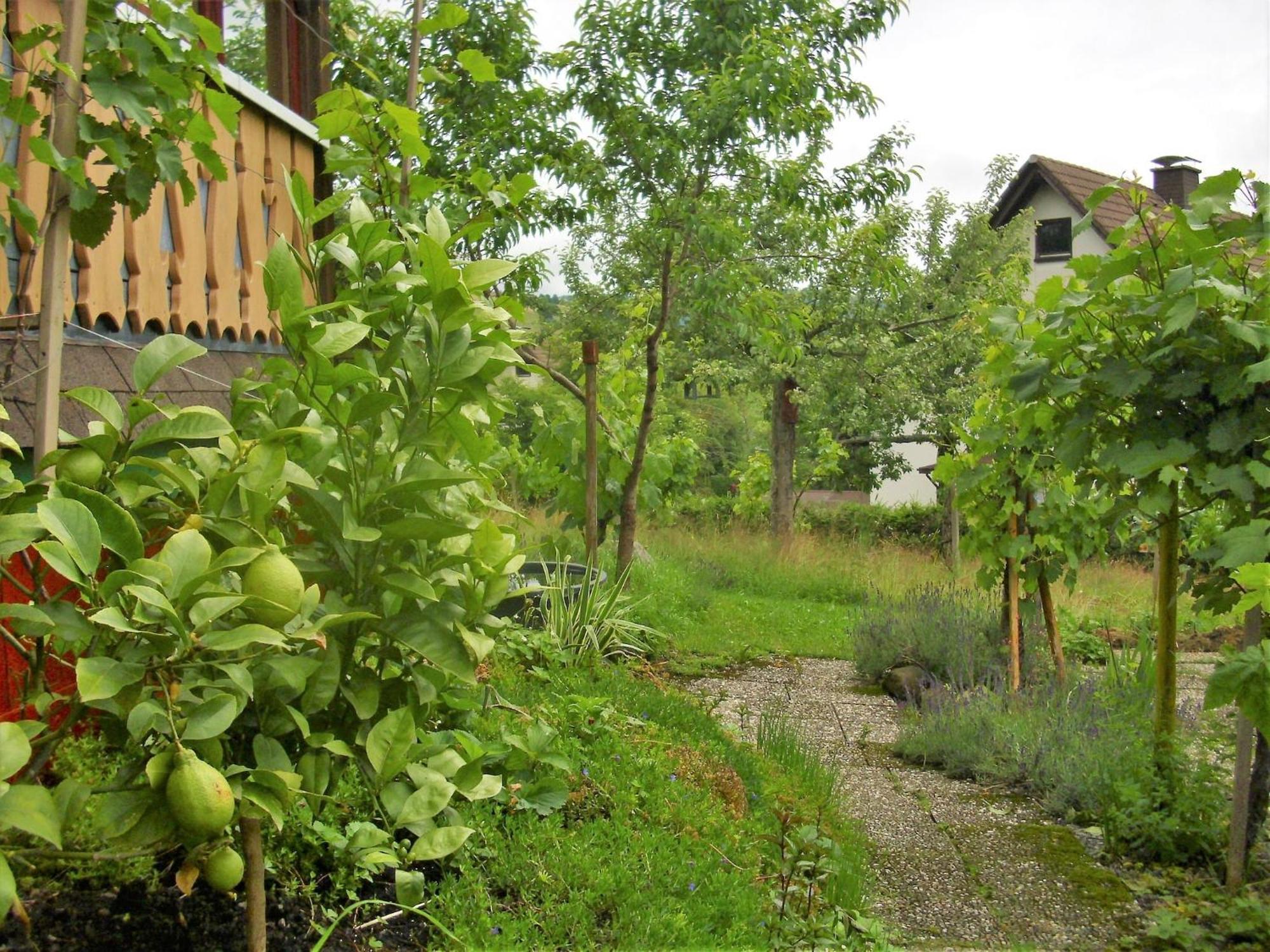 Beautiful Apartment In A Black Forest House With Conservatory Bernau im Schwarzwald Buitenkant foto